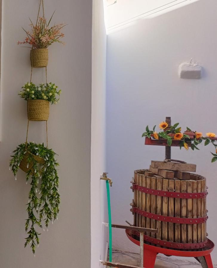 Casa Vacanze Campi Salentina Bagian luar foto